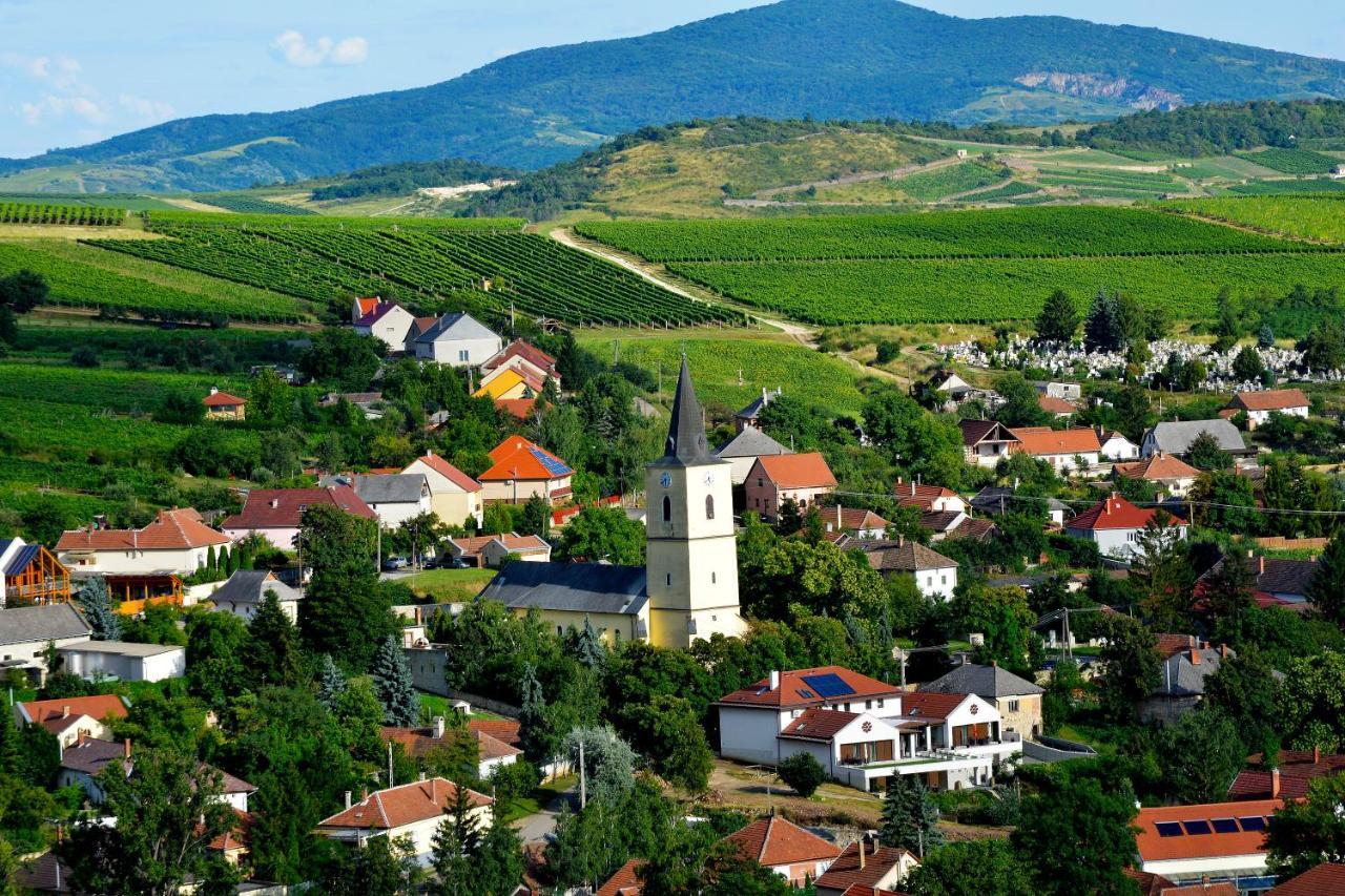Demetervin Mád Exterior foto